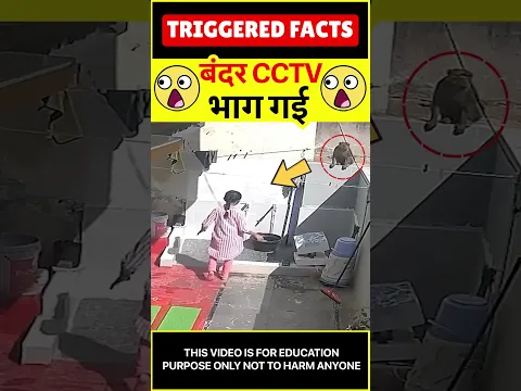 😮बंदर CCTV😮 Girl surprised and saved herself #amazingfacts #triggeredfacts #shorts