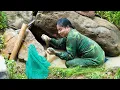 Download Lagu Life on the River in Heavy Rainy Days, Wild Foraging, Fishing, Cooking: River Survival | EP.475