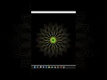 Amazing flower in python by using turtle graphics