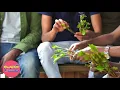 - Zehabesha News August 2026