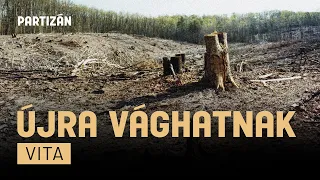 Újra zúghat a láncfűrész a védett erdőkben: kormány vs. Greenpeace vita a Partizánon