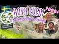 Download Lagu 📣BIGGEST HOYA EVENT!! 1000+ Hoya cuttings | Swedish Hoya Society spring 2023 | Nordiska Trädgårdar
