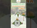 Download Lagu Les mangeoires Lona - Animalis