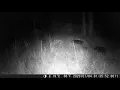 Florida Hunting Lease - HLRBO