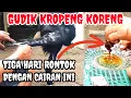 Download Lagu Cara Mengobati Gudik Dengan Cairan Tradisional Ampuh Tiga Hari Gudik koreng Kropeng Langsung kering.