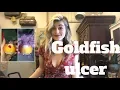 TREATING GOLDFISH ULCER