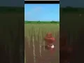 roblox slave meme be like