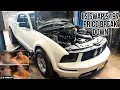 HOW TO LS SWAP YOUR S197 FOR 4K