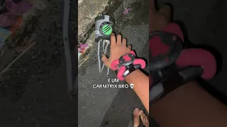 BEN 10 ACHANDO O CARNITRIX COM O CHAQUETRIX Omnitrix Ben10 Carnitrix Chaquetrix 