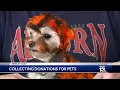 Altadena Valley collecting donations for pets in storm s path
