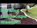 How To Kill Rid Landscape Weeds with a Propane Torch - Harbor Freight Tools Torch