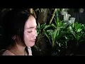 Download Lagu LAUK MUJUR VERSI AKUSTIK @ERNIAYUNINGSIH