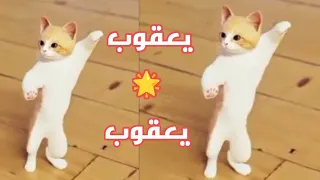اغنية يعقوب ابو دم خفيف   صفات اسم يعقوب اغنية بأسم يعقوب  يعقوب  يعقوب  دندنها