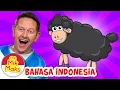 Download Lagu Domba Hitam | Lagu dan Sajak Anak-Anak | The Mik Maks Indonesia