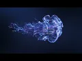 The Beat of Nature : Ambient  Relaxing Folk Background Music