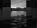 Download Lagu Avicii - The Night 🙂‍↕️ || Lyrics Edit || #shorts #lyricsedit #lyrics #music #lyricseditthenight