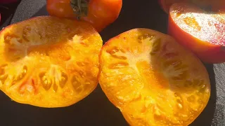 Томаты в разрезе, вес и объективный вкус.