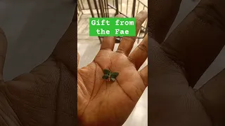 A Gift From The Fairies Faeries Thefae Earthspirits Elementals 