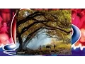 Download Lagu Lagu Ambon ♪ Biar Papa Mama Mara ♫