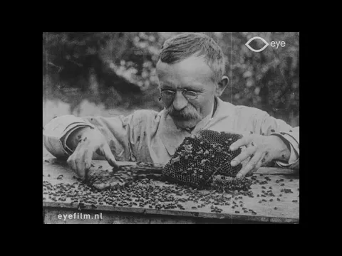L' Apiculture