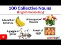 100 Collective Nouns for Children English Vocabulary