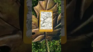 The Faeries Oracle Card 42 Myk The Myomancer By Brian Froud Jessica Macbeth Fairy Elemental 