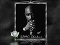 2Pac - Troublesome '96 (Instrumental)