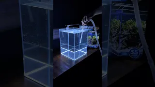 Leak testing my new aquarium Purevue 5 5 Gallon Cube
