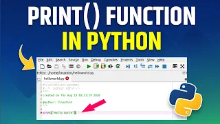 Python Print Function - Learn Python Print Function in Hindi Python Tutorials