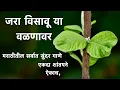 Lagu मराठीतील सर्वात सुंदर गाणे. भले बुरे जे घडून गेले,विसरून जाऊ सारे क्षणभर, जरा विसावू या वळणा lyrics