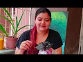 Download Lagu Koyal/Birds Ka Ghar Pe Khayaal Kaise Rakhe - PetGyan | No Cage