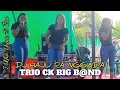 HAJU RA NGGUDA VERSI TRIO CK BIG BAND || RAWA MBOJO VIRAL