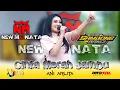 Download Lagu CINTA MERAH JAMBU - ANI ARLITA NEW MONATA SAMBONGBANGI 2025 - AEROMAX