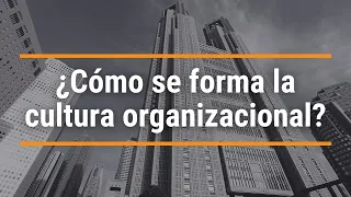 ¿Cómo se forma la cultura organizacional?