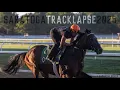 Saratoga TrackLapse 2025