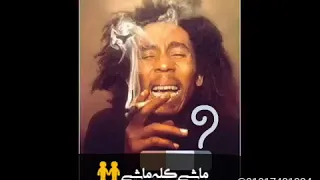 رضا البحراوي لو قطعوني فاكرني هرجع اسامح م تاني حالة واتس YouTube 