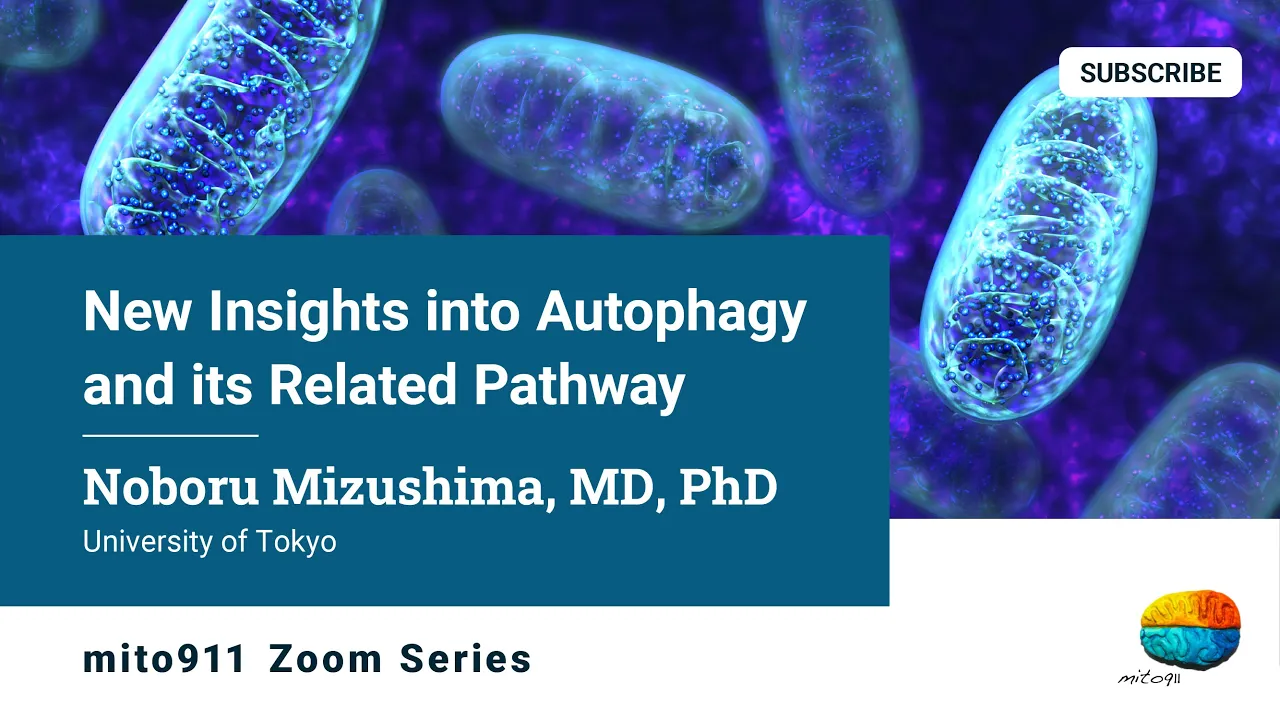 New Insights into Autophagy and its Related Pathway