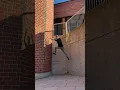 Download Lagu Fastest Parkour Speed Climbing