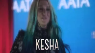 nashville 4x12 