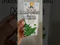 Download Lagu M king obat tetes