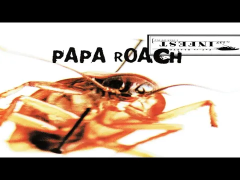Solo (Backing Track)