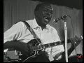 1969 - John Lee Hooker - Boom Boom (Live Video)
