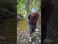 Download Lagu Ya Allah Sehatkan lah Bapak Mertua ku Bapak Mansur aamiin ya Allah 🤲🤲#bapak #bapakmertua #orangtua