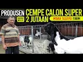 Download Lagu Mulai 2 JUTAAN, PABRIK CEMPE KAMBING PE ‼️Kambing Kaligesing Pak Sujiyo.