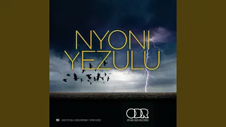 nyoni yezulu