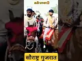 Lagu Vir ne jari bharela safa re #gujarati trending geet #gujrati geet 2025 #horselover #horseriding