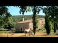 Download Lagu Sleep and Relax Nature Sounds from the Farm Village