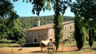 النوم والاسترخاء مع أصوات الطبيعة من قرية المزرعة 