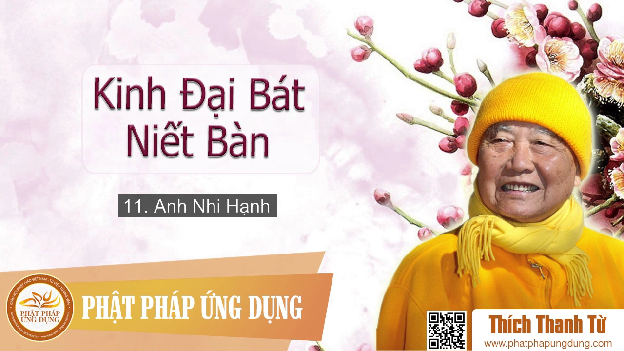 11 - Anh Nhi Hạnh - Thiền Sư Thích Thanh Từ giảng 
