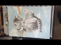 Dimensions Paint by Number Amazon Review